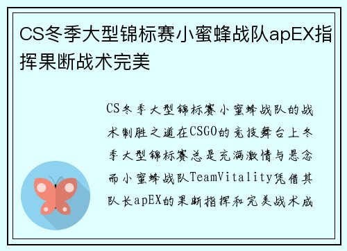 CS冬季大型锦标赛小蜜蜂战队apEX指挥果断战术完美