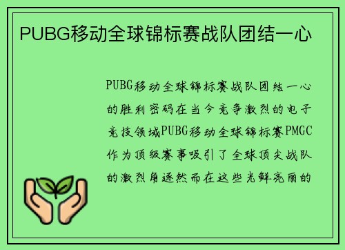 PUBG移动全球锦标赛战队团结一心