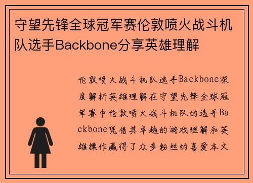守望先锋全球冠军赛伦敦喷火战斗机队选手Backbone分享英雄理解
