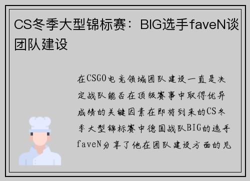 CS冬季大型锦标赛：BIG选手faveN谈团队建设