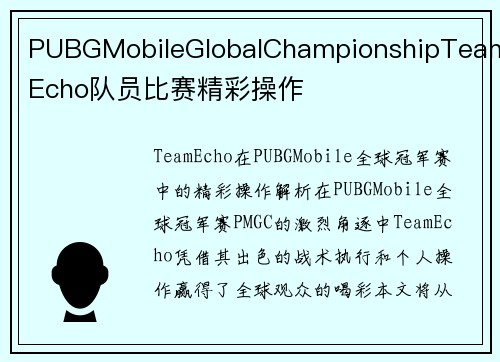 PUBGMobileGlobalChampionshipTeamEcho队员比赛精彩操作